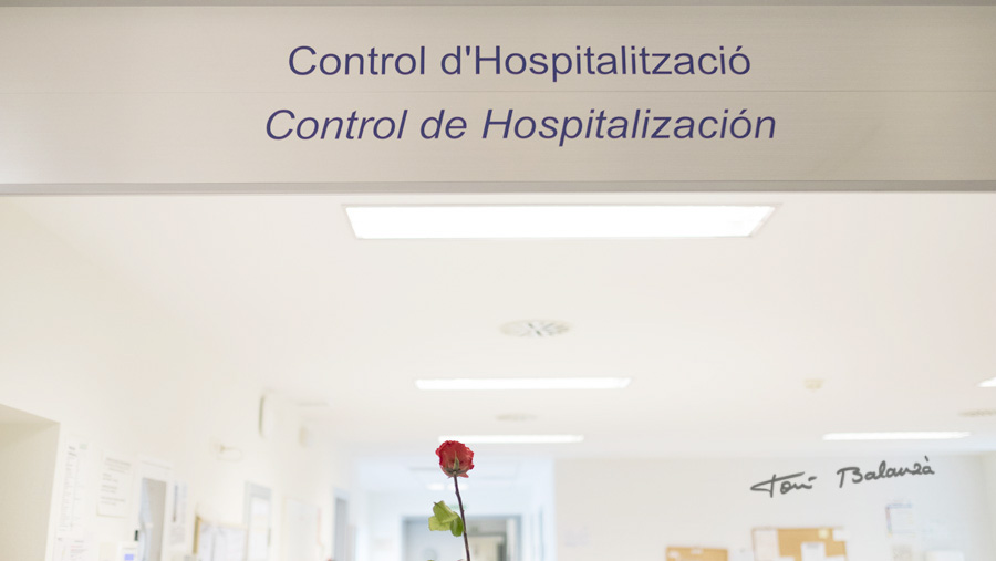 Área de control en planta de oncología-leucemia para ebmt