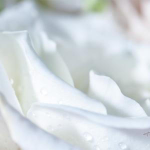 ramo de novia con flores blancas - Fotografía detalle de un ramo de novia con flores blancas realizado en un trabajo comercial para mati, el artista floral de Art Natural floristería.